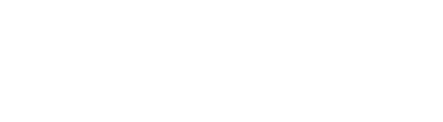 Palena SPA Logo